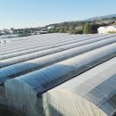 더그랜드섬오름 이미지