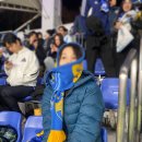 에이치디케이 | 12월9일 ACLE 마치다 젤비아 vs 울산HD 아챔 직관 후기. 마치다젤비아 홈구장 기온스타디움. 울산HD팬의...