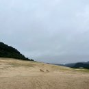 해변연가 이미지