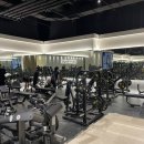 러쉬 휘트니스 이미지