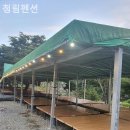 청림팬션