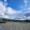 대명애견 | 대구 애견동반 가을 가볼만한곳 대명유수지 10월말 갈대