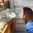 양수목장 이미지