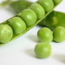 콩이야기 이미지