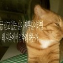 꽃길로카페 - 구례군 산수유꽃길로 169 | 꽃길로카페