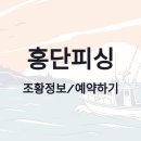 홍단피싱