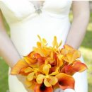 국제결혼문화원 이미지