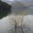 용현자연휴양림 이미지