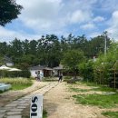 숭혜전 소공원 화장실 | 경주 황리단길 한옥 소나무 야외정원이 있는 애견동반카페 '카페솔' 방문 후기