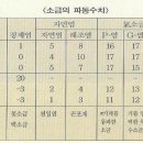 소금과 빛 이미지