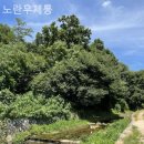 노란우체통 이미지