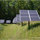 천우 행정사 사무소 이미지