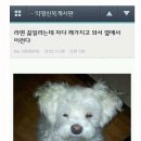 야키니쿠우연 이미지