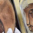 민한의원 이미지