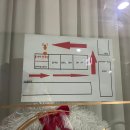 폴아이앤왁싱 | 삼송역 속눈썹펌 폴아이앤왁싱 후기