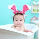 레몬타임스튜디오 이미지