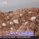 예산도토리떡집