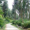 아리숲펜션 이미지