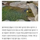 가평 용추계곡 물놀이 물에 풍덩 가면서 / 포인트정리 이미지