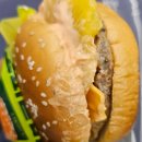 트로피칼 이미지