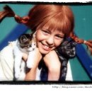 삐삐롱스타킹 이미지