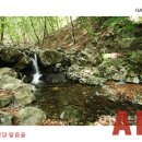 여름탐방(가족) 이미지