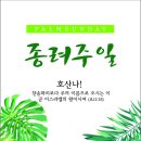 2025년 종려주일 이미지