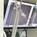 부일동물병원 이미지