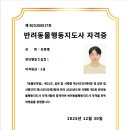 세이브독 이미지