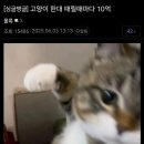한*대