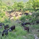 대둔산 강변가든 민박 이미지