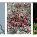 ★사주명리학★ <재능기부강의> 이미지