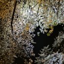 밀양돼지국밥.감자탕 이미지