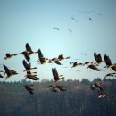 정정농장 이미지