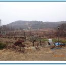 옥봉농장 이미지