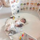 남양체육관 | 신생아 장난감 추천 BEST5 아기장난감 실사용 후기