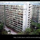 궁전예가 이미지