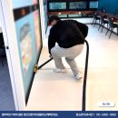 미라크리닝 이미지