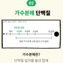 주트립 하얀사료 아이컨트롤 시니어 제품 후기(최근 고민)