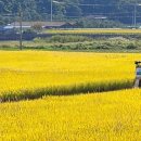 예안농장 이미지