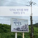 소야리 버스정류장 | 덕적도 밧지름해변 백패킹 후기! [인천 섬 2박3일]-1편