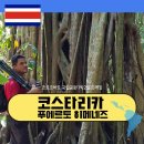 신기한 동식물여행 2 | 중미 여행 코스타리카 푸에르토 히메네즈 코르코바도 국립공원 1박2일 (성수기 투어 예약 후기)