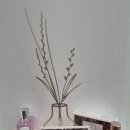 까까헤어 이미지