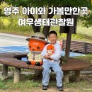 여우와늑대 | 영주 아이와 가볼만한곳 붉은 여우 생태관찰원 - 예약 관람시간 후기