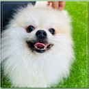 아이조아요양보호소 전남광주점 이미지