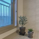 예삐농원 이미지