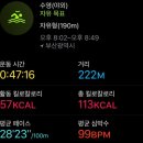 뉴파라다이스 | 부산여행)파라다이스호텔부산 투숙 후기(시티뷰, 씨메르, 수영장, play lab, 괴산휴게소, 재방문의사)