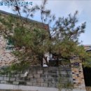 600013 네이버블로그