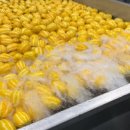 선남농협 APC 이미지