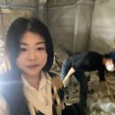 크린시티 네이버블로그